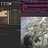 12時00分 ごろ