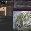 12時25分 ごろ