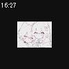 16時25分 ごろ