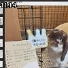11時10分 ごろ