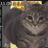 11時05分 ごろ