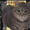 13時45分 ごろ