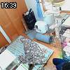 16時35分 ごろ