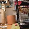 04時50分 ごろ