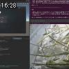 16時25分 ごろ