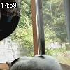 14時55分 ごろ