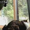 17時50分 ごろ