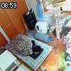 08時55分 ごろ