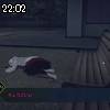 22時00分 ごろ