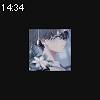 14時30分 ごろ