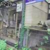 12時25分 ごろ