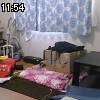 11時50分 ごろ