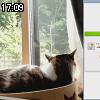 17時05分 ごろ