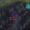12時25分 ごろ