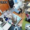 21時15分 ごろ