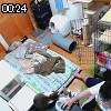 00時20分 ごろ