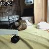 13時20分 ごろ