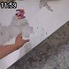 11時55分 ごろ