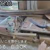 17時15分 ごろ