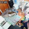 11時45分 ごろ