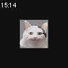 15時10分 ごろ