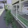 12時55分 ごろ