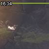 16時30分 ごろ