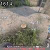 16時10分 ごろ