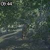 09時40分 ごろ