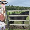10時40分 ごろ