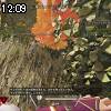 12時05分 ごろ