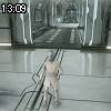 13時05分 ごろ