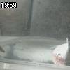 19時55分 ごろ