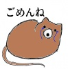 猫,ごめんね,アニメ風,イラスト,丸い