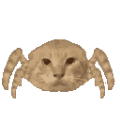 猫,カニ,合成,動物,アイコン