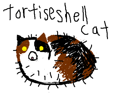 tortiseshell cat,cat,drawing
