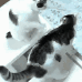 猫,モノクロ,2匹,机,かわいい,猫の後ろ姿,白黒猫
